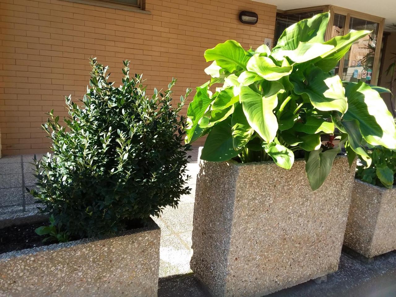 Albergo Nyers Perugia Exteriör bild