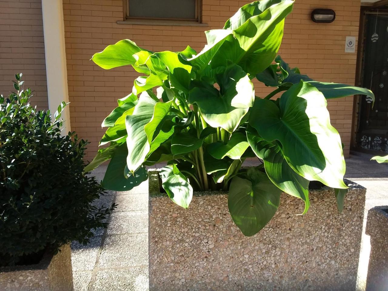 Albergo Nyers Perugia Exteriör bild